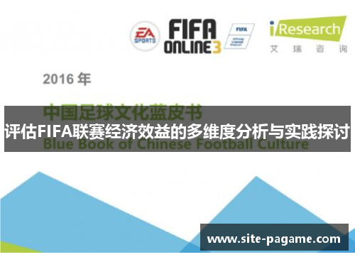 评估FIFA联赛经济效益的多维度分析与实践探讨