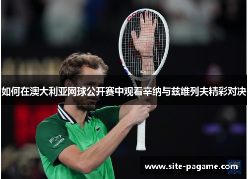如何在澳大利亚网球公开赛中观看辛纳与兹维列夫精彩对决