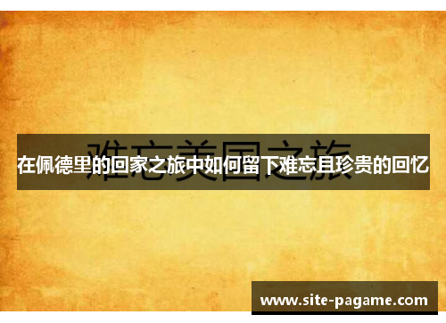 在佩德里的回家之旅中如何留下难忘且珍贵的回忆