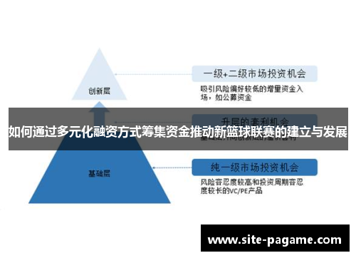 如何通过多元化融资方式筹集资金推动新篮球联赛的建立与发展