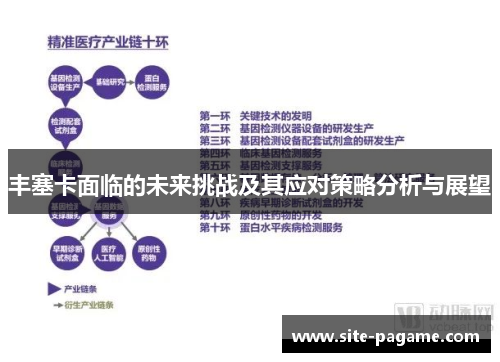 丰塞卡面临的未来挑战及其应对策略分析与展望