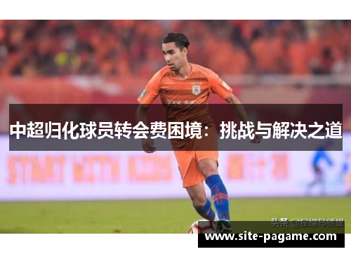 中超归化球员转会费困境：挑战与解决之道