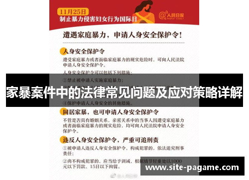 家暴案件中的法律常见问题及应对策略详解