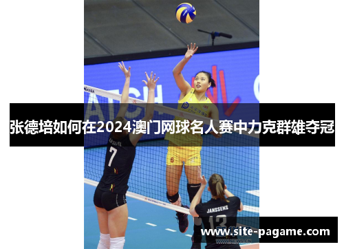 张德培如何在2024澳门网球名人赛中力克群雄夺冠