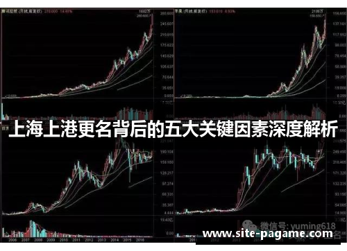 上海上港更名背后的五大关键因素深度解析